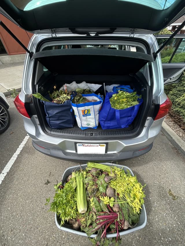 Image 8.jpg